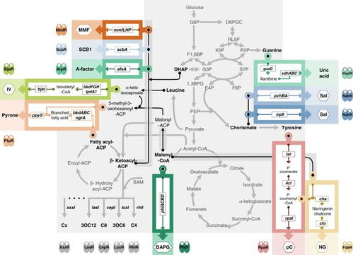 中國團隊成功開發高性能細胞通訊系統，攻克多細胞系統工程難題