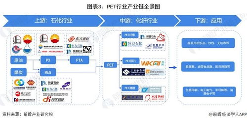 預見2023 中國PET行業(yè)全景圖譜——市場現狀、競爭格局與發(fā)展趨勢解析